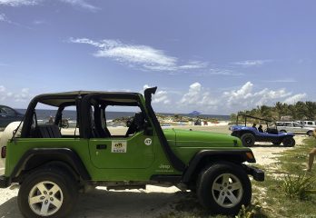 Mini Jeeps for Adults: Unleash Your Adventure Spirit!